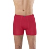 Anıt 1273 Bambu Boxer