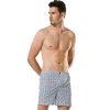 Anıt 1277 Battal Penye Boxer (1119)