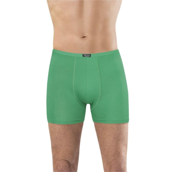 Anıt 1273 Bambu Boxer