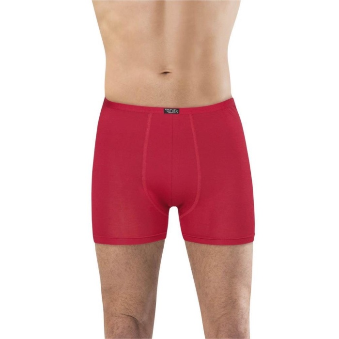 Anıt 1273 Bambu Boxer