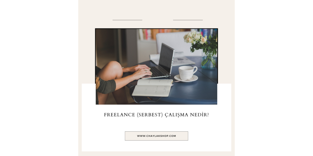 Freelance Çalışma Nedir ?