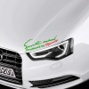 Sports Mind Producad By Sport Sticker, Oto Etiket, Araç Çıkartma, Araba Tuning, Modifiye Yeşil