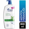 Head & Shoulders 2si 1 Arada Şampuan Klasik Bakım 800 ml