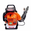 Gardenpro EBZ9900 Benzinli Üfleme Makinası 5 Hp