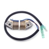 Tomking TK098-S/TK098-L Deniz Motoru Elektronik Bobin