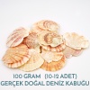 Hediyelik Deniz Kabuğu Pecten Macarensis 100 Gram 10 Adet