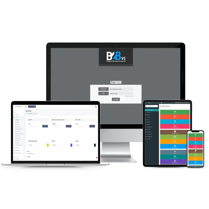 B2B Sistemi V1 Web Site Teması