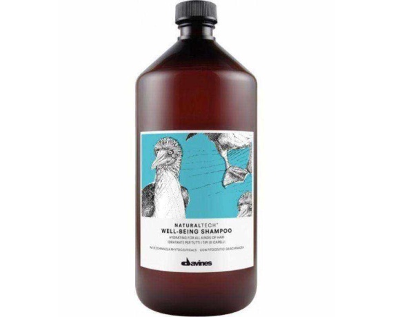 Davines Well Being Kuru Saçları Nemlendirici Bakım Şampuanı 1000ml