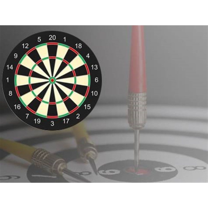 Çift Taraflı Dart Seti 28 Cm (4 Adet Ok Hediyeli)