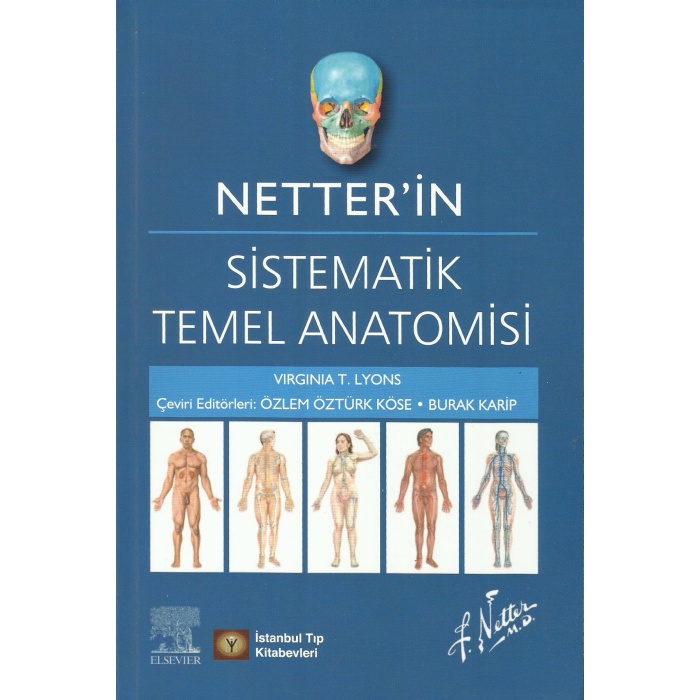 NETTERİN SİSTEMATİK TEMEL ANATOMİSİ