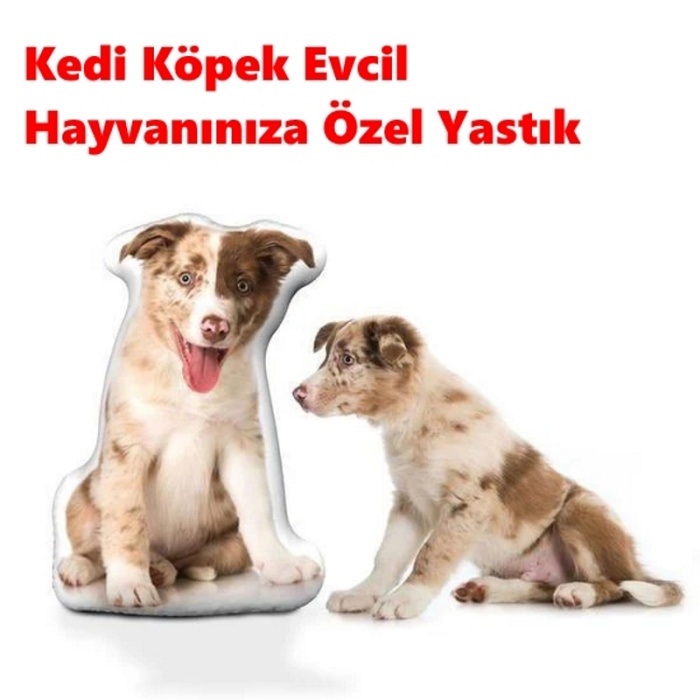 Kedi Köpek Evcil Hayvanınıza Özel Yastık - Kişiye Özel