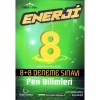 Palme 8.Sınıf Enerji Fen Bilimleri 8+8 Deneme Sınavı