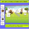 Mucit Karınca Cırt Cırtlı Etkinlik Kitabım 16-24 Ay