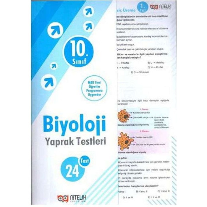 Nitelik Yaprak Test 10.Sınıf Biyoloji