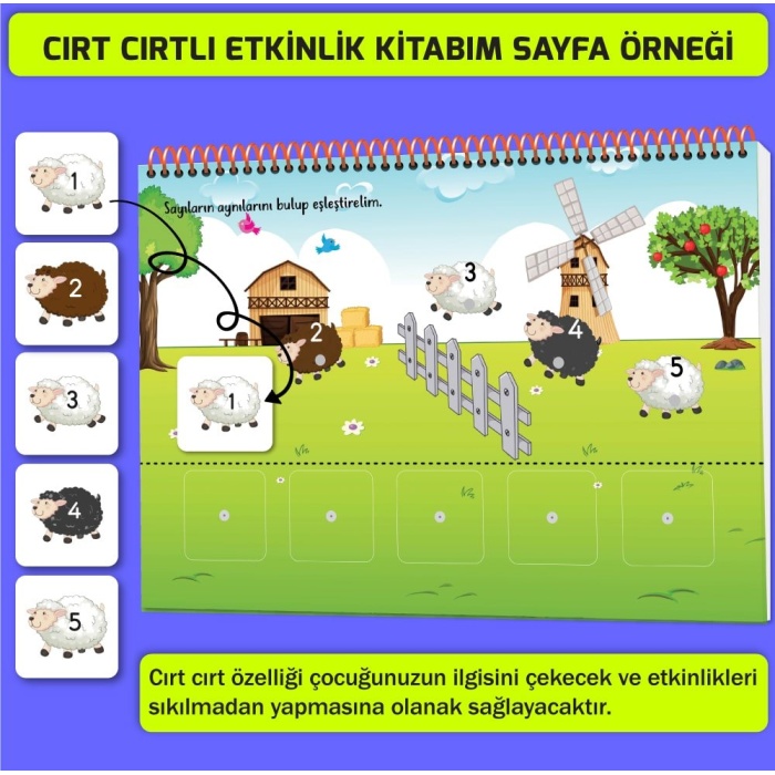 Mucit Karınca Cırt Cırtlı Etkinlik Kitabım 16-24 Ay