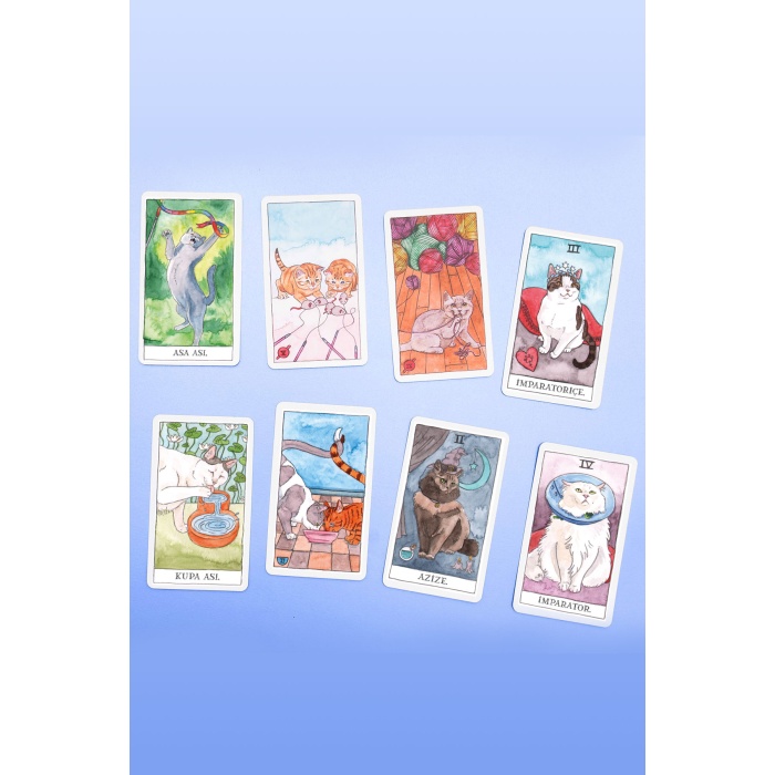 Kedi Tarot (Cat Tarot) 78 Tarot Kartı ve Rehber Kitap (Yeni Kutu)