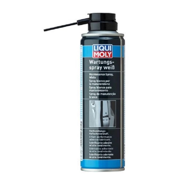 Liqui Moly Kilit Bakım Spreyi 250 ml (3075)