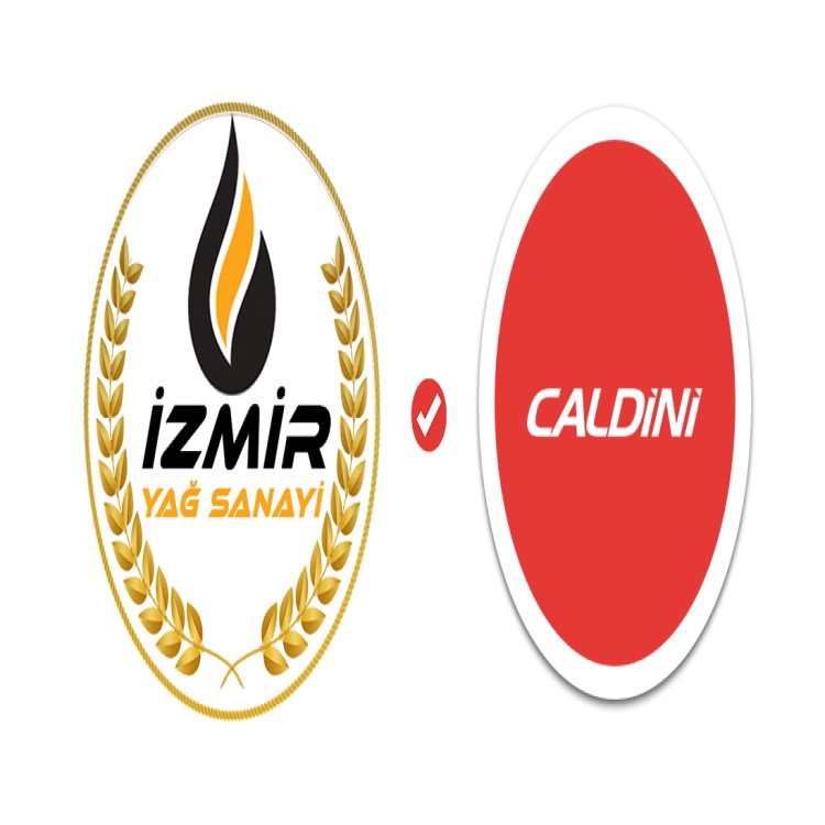 CALDİNİ C-40 PAS SÖKÜCÜ YAĞLAYICI 200ML