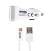 Avec Av M631 12v-usb Araç Şarj Cihazı + Av W101 Mıcro Usb Kablo Seti