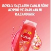 Elidor Şampuan Renk Koruyucu Ve Canlandırıcı Bakım 500 Ml