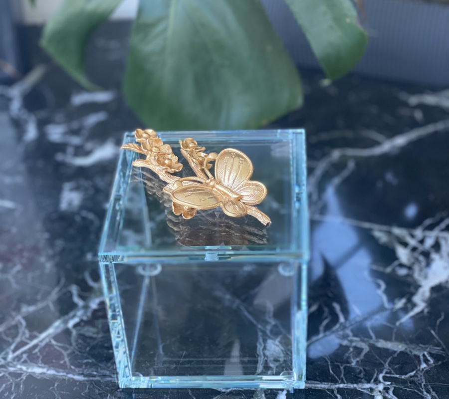 BUTTERFLY DECOR GLASS BOX