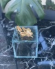 BUTTERFLY DECOR GLASS BOX