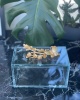 BUTTERFLY DECOR GLASS BOX