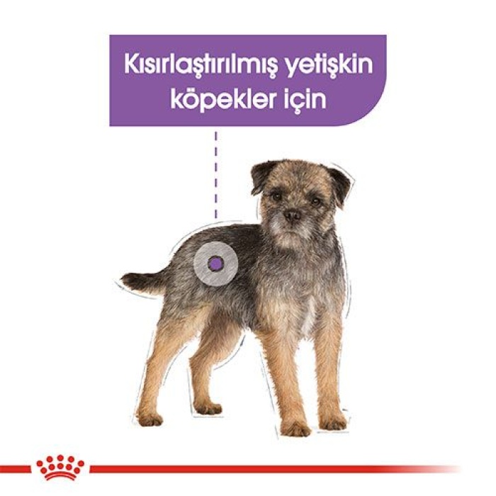 Royal Canin Sterilised Pouch Konserve Köpek Maması 85 Gr