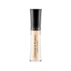 CONCEAL& PROTECT LIQUID CONCEALER 02