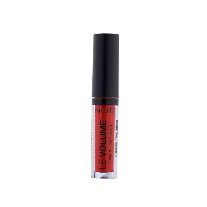 LE VOLUME LIPGLOSS 06