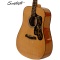 Sawtooth St-Adn-D Acoustic Guitar Spruce Top