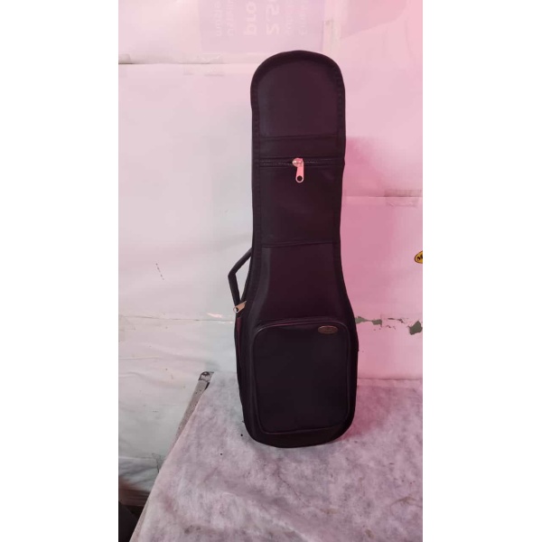 Keman Kılıfı Gigbag