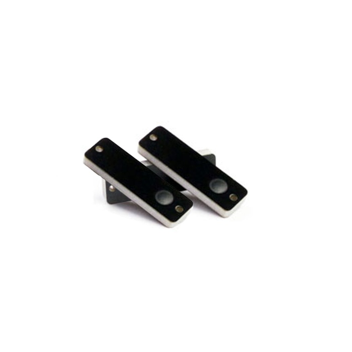 RFGate UHF Anti Metal Alien Higgs-3 Çipli RFID Etiket  22x8mm