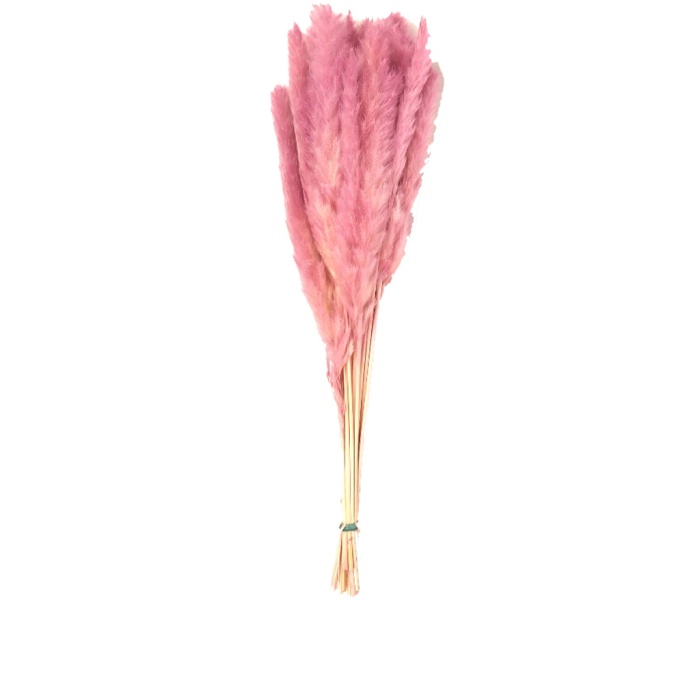 Pluma Decorativa Pembe Code 42