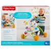 Fisher Price Melodili Zebra Yürüteç DLD80