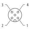 7000-12221-6140500 SENSÖR KABLOSU M12 4-PIN 0-DER 5-MT PVC FEMALE