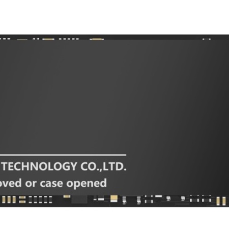 DAHUA C900N 256 GB NVME SSD 2000/1050 (SSD-C900N256GB)