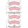 ARKA FREN BALATASI GRAND CHEROKEE 2.5TD-4.0I-5.2-5.2I-5.9I 09-91-04-99 - TRW GDB4124