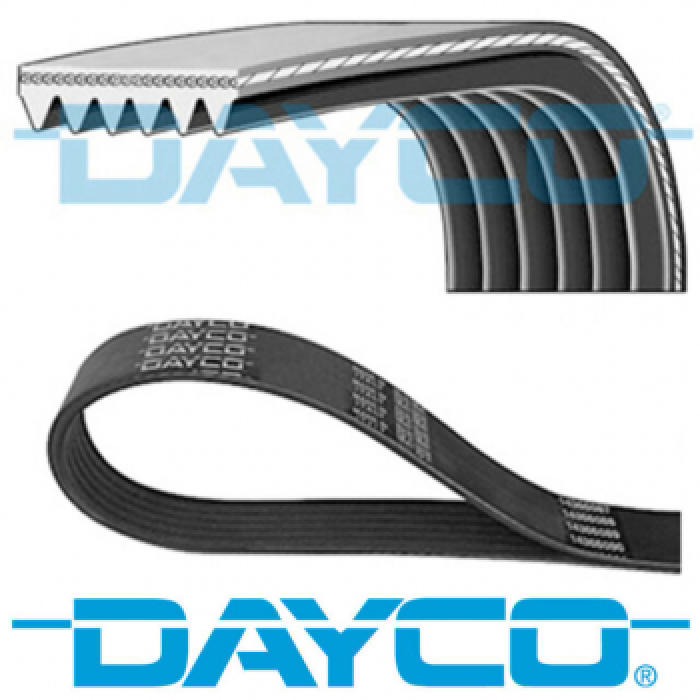 KANALLI KAYIS - DAYCO 6DPK1698