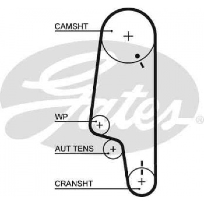 EKSANTRIK KAYISI 137x190 137 DIS VW POLO-POLO CLASSIC-CADDY II-GOLF III-IBIZA III 1.6 94-99 CT847 - GATES 5428XS