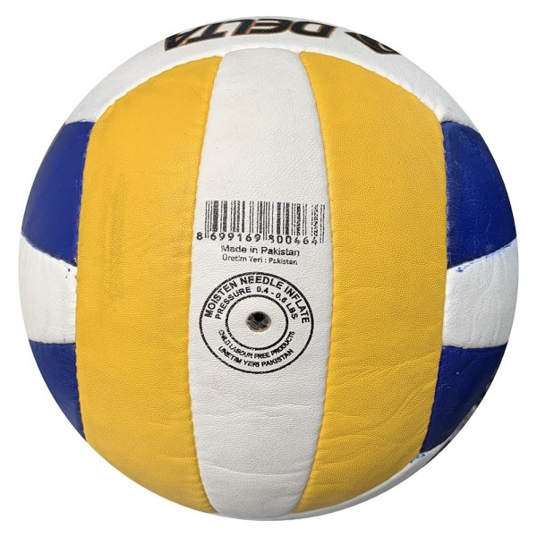 Delta Ivory Voleybol Topu