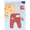 Animal Crew 3 Pants Set Color