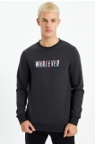 The Crow Erkek Whatever Sweatshirt - Vizon