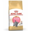 Royal Canin British Shorthair Yavru Kedi Maması 2 Kg