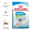 Royal Canin Xsmall Puppy Küçük Irk Yavru Köpek Maması 1,5 KG