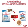 Royal Canin Mini Puppy Yaş Mama Pouch 85gr KOLİ (12 ADET)