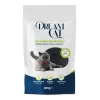 DREAMCAT AKTİF KARBONLU KOKU GİDERİCİ