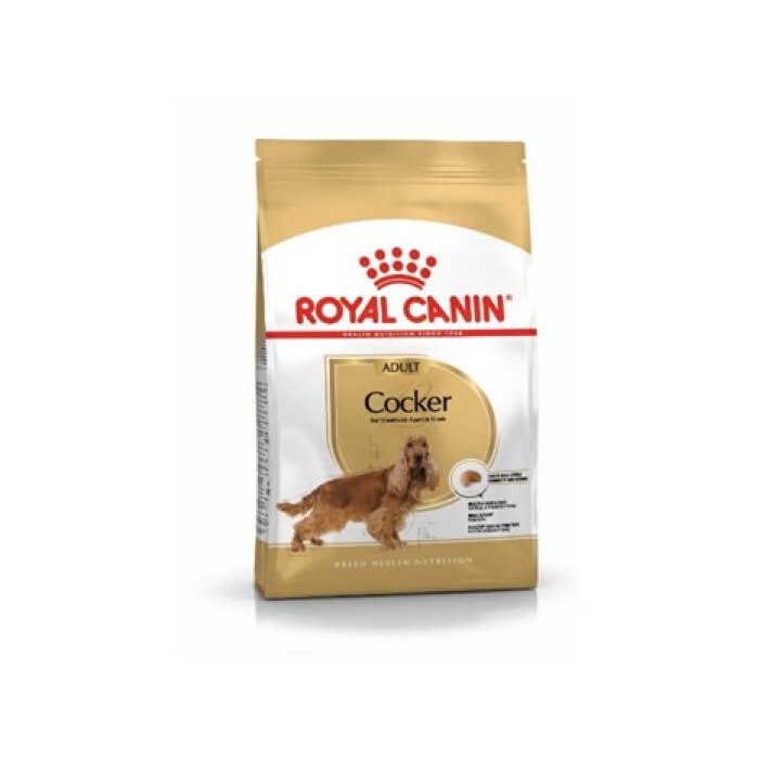 Royal Canin Adult Cocker köpek maması 3 Kg