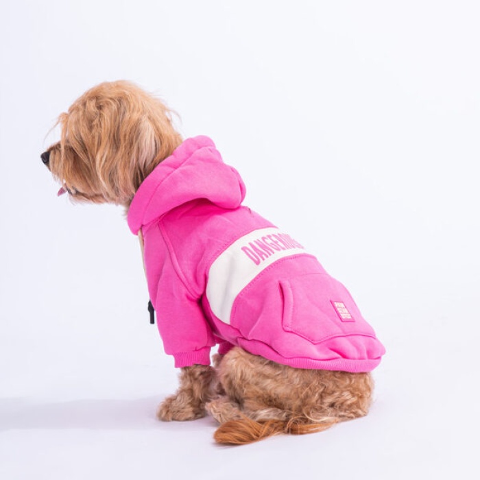 mavi- pembe Cute Hoodie