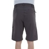 Alpinist Colorado Erkek Short Füme (300351)